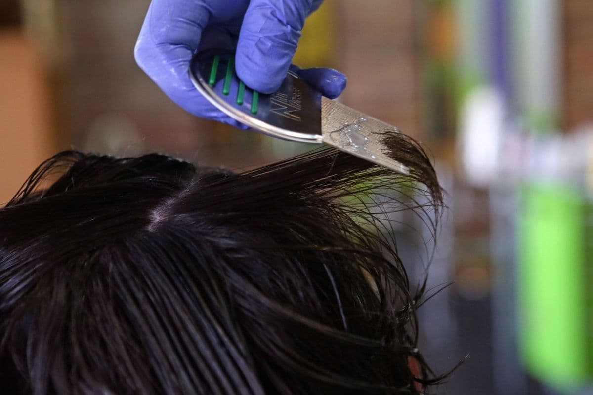 Lice Free Noggins DC specialist with family
